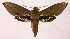  ( - 97-SRNP-1212)  @14 [ ] CreativeCommons - Attribution Non-Commercial Share-Alike (2003) Unspecified Guanacaste Dry Forest Conservation Fund