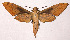  ( - 97-SRNP-1212)  @14 [ ] CreativeCommons - Attribution Non-Commercial Share-Alike (2003) Unspecified Guanacaste Dry Forest Conservation Fund