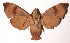  ( - 97-SRNP-9634)  @14 [ ] CreativeCommons - Attribution Non-Commercial Share-Alike (2003) Unspecified Guanacaste Dry Forest Conservation Fund