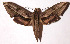  ( - 98-SRNP-12476)  @14 [ ] CreativeCommons - Attribution Non-Commercial Share-Alike (2003) Unspecified Guanacaste Dry Forest Conservation Fund