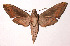  ( - 98-SRNP-12476)  @14 [ ] CreativeCommons - Attribution Non-Commercial Share-Alike (2003) Unspecified Guanacaste Dry Forest Conservation Fund