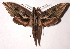  ( - 98-SRNP-12549)  @14 [ ] CreativeCommons - Attribution Non-Commercial Share-Alike (2003) Unspecified Guanacaste Dry Forest Conservation Fund