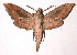  ( - 98-SRNP-12549)  @14 [ ] CreativeCommons - Attribution Non-Commercial Share-Alike (2003) Unspecified Guanacaste Dry Forest Conservation Fund