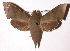  ( - 98-SRNP-5054)  @14 [ ] CreativeCommons - Attribution Non-Commercial Share-Alike (2003) Unspecified Guanacaste Dry Forest Conservation Fund