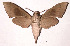  ( - 98-SRNP-5059)  @14 [ ] CreativeCommons - Attribution Non-Commercial Share-Alike (2003) Unspecified Guanacaste Dry Forest Conservation Fund