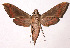 ( - 98-SRNP-5677)  @14 [ ] CreativeCommons - Attribution Non-Commercial Share-Alike (2003) Unspecified Guanacaste Dry Forest Conservation Fund