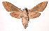  ( - 98-SRNP-744)  @14 [ ] CreativeCommons - Attribution Non-Commercial Share-Alike (2003) Unspecified Guanacaste Dry Forest Conservation Fund