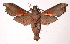  ( - 99-SRNP-12803)  @14 [ ] CreativeCommons - Attribution Non-Commercial Share-Alike (2003) Unspecified Guanacaste Dry Forest Conservation Fund