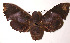  ( - 99-SRNP-15457)  @13 [ ] CreativeCommons - Attribution Non-Commercial Share-Alike (2003) Unspecified Guanacaste Dry Forest Conservation Fund