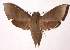  ( - 99-SRNP-2884)  @14 [ ] CreativeCommons - Attribution Non-Commercial Share-Alike (2003) Unspecified Guanacaste Dry Forest Conservation Fund