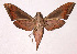  ( - 99-SRNP-8629)  @14 [ ] CreativeCommons - Attribution Non-Commercial Share-Alike (2003) Unspecified Guanacaste Dry Forest Conservation Fund