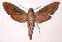  ( - 99-SRNP-8649)  @14 [ ] CreativeCommons - Attribution Non-Commercial Share-Alike (2003) Unspecified Guanacaste Dry Forest Conservation Fund