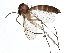  ( - BIOUG01639-B07)  @13 [ ] CreativeCommons - Attribution (2012) CBG Photography Group Centre for Biodiversity Genomics