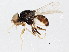  ( - BIOUG01623-F07)  @12 [ ] CreativeCommons - Attribution (2011) CBG Photography Group Centre for Biodiversity Genomics