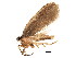  ( - BIOUG01630-E02)  @13 [ ] CreativeCommons - Attribution (2012) CBG Photography Group Centre for Biodiversity Genomics