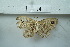  ( - UMKL-JSSW-J4)  @12 [ ] Unspecified (default): All Rights Reserved  Unspecified Unspecified