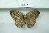  ( - UMKL-JSSW-LG2)  @13 [ ] Unspecified (default): All Rights Reserved  Unspecified Unspecified