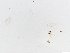  ( - JSDNP010)  @12 [ ] Unspecified (default): All Rights Reserved (2016) Jedsada Sukantamala Naresuan University