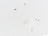  ( - JSDNP015)  @11 [ ] Unspecified (default): All Rights Reserved (2016) Jedsada Sukantamala Naresuan University