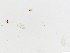 ( - JSDNP020)  @11 [ ] Unspecified (default): All Rights Reserved (2016) Jedsada Sukantamala Naresuan University