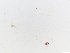  ( - JSDNP111)  @11 [ ] Unspecified (default): All Rights Reserved (2016) Jedsada Sukantamala Naresuan University