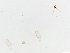  ( - JSDNP172)  @11 [ ] Unspecified (default): All Rights Reserved (2016) Jedsada Sukantamala Naresuan University