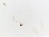  ( - JSDNP197)  @11 [ ] Unspecified (default): All Rights Reserved (2016) Jedsada Sukantamala Naresuan University