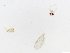  ( - JSDNP238)  @11 [ ] Unspecified (default): All Rights Reserved (2016) Jedsada Sukantamala Naresuan University