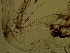 ( - CUL-2019-77)  @12 [ ] CreativeCommons - Attribution Non-Commercial (2019) Jukka Salmela Regional museum of Lapland