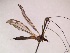  ( - IRAS-2019-055)  @11 [ ] CreativeCommons - Attribution Non-Commercial (2019) Ilari Rasimus University of Oulu