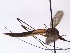  ( - IRAS-2019-999)  @11 [ ] CreativeCommons - Attribution Non-Commercial (2019) Ilari Rasimus University of Oulu