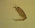  ( - LMM-el-15)  @11 [ ] CreativeCommons - Attribution Non-Commercial (2019) Jukka Salmela Regional museum of Lapland