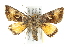  ( - JSYKB-198)  @14 [ ] CreativeCommons - Attribution (2010) Unspecified Centre for Biodiversity Genomics