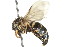  ( - JSYKB-182)  @12 [ ] CreativeCommons - Attribution (2010) CBG Photography Group Centre for Biodiversity Genomics
