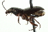  ( - JSYKB-143)  @13 [ ] CreativeCommons - Attribution (2010) CBG Photography Group Centre for Biodiversity Genomics