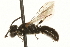  ( - JSYKB-055)  @14 [ ] CreativeCommons - Attribution (2010) Unspecified Centre for Biodiversity Genomics