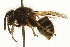  ( - JSYKB-059)  @14 [ ] CreativeCommons - Attribution (2010) Unspecified Centre for Biodiversity Genomics
