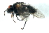  ( - YUKIN-0001)  @12 [ ] CreativeCommons - Attribution (2010) Unspecified Centre for Biodiversity Genomics