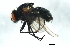  ( - YUKIN-0002)  @13 [ ] CreativeCommons - Attribution (2010) Unspecified Centre for Biodiversity Genomics