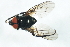  ( - YUKIN-0005)  @12 [ ] CreativeCommons - Attribution (2010) Unspecified Centre for Biodiversity Genomics