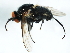  ( - YUKIN-0033)  @13 [ ] CreativeCommons - Attribution (2010) Unspecified Centre for Biodiversity Genomics