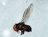  ( - YUKIN-0058)  @13 [ ] CreativeCommons - Attribution (2010) Unspecified Centre for Biodiversity Genomics