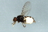  ( - YUKIN-0084)  @12 [ ] CreativeCommons - Attribution (2010) Unspecified Centre for Biodiversity Genomics