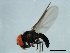  ( - YUKIN-0085)  @13 [ ] CreativeCommons - Attribution (2010) Unspecified Centre for Biodiversity Genomics