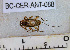  ( - BC-CER-ANT-088)  @11 [ ] By-SA Creative Common (2020) Julien Touroult Museum national d'Histoire naturelle, Paris