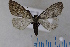  ( - NAP_8452SWRS)  @13 [ ] No Rights Reserved  Unspecified Unspecified