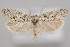  ( - MM28005)  @11 [ ] by-nc (2023) Jari Junnilainen Unspecified
