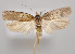  ( - MM28016)  @11 [ ] by-nc (2023) Jari Junnilainen Unspecified