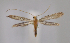  ( - MM28020)  @11 [ ] by-nc (2023) Jari Junnilainen Unspecified