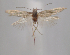  ( - MM28025)  @11 [ ] by-nc (2023) Jari Junnilainen Unspecified